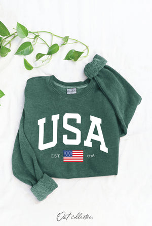 USA EST.1776 Mineral Graphic Sweatshirt in DUSTY FOREST